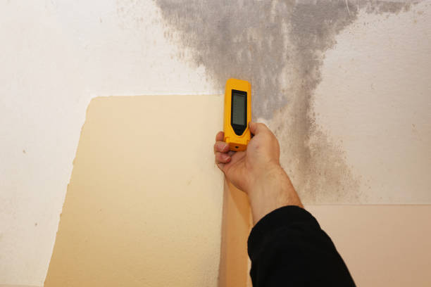 Best Industrial Mold Remediation  in Knik Fairview, AK