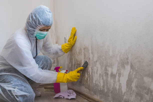Best HVAC Mold Inspection and Cleaning  in Knik Fairview, AK