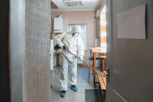 Best Attic Mold Removal  in Knik Fairview, AK
