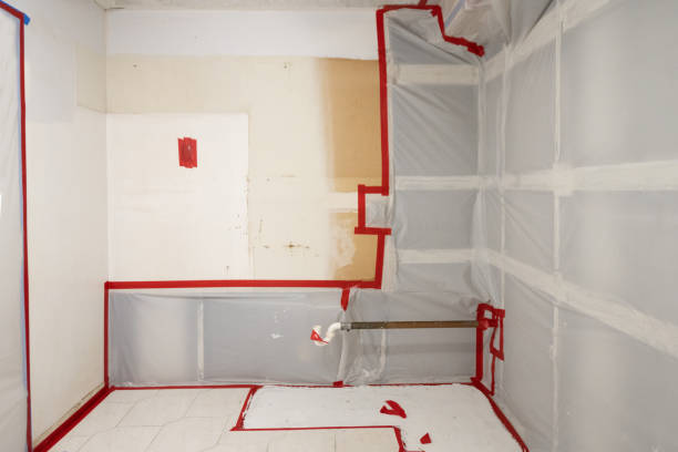 Best Asbestos and Lead Testing During Mold Inspection  in Knik Fairview, AK