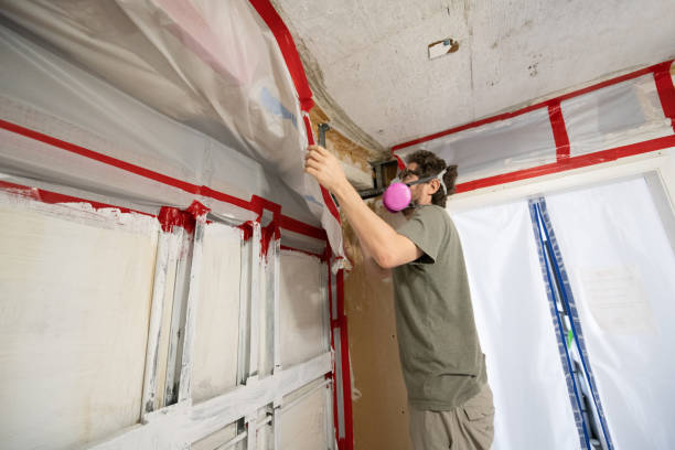 Best Mold Prevention Services  in Knik Fairview, AK