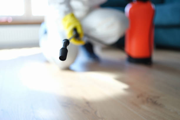 Asbestos and Lead Testing During Mold Inspection in Knik Fairview, AK