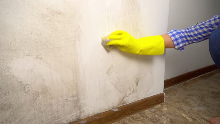 Best Environmental Consulting for Mold Prevention  in Knik Fairview, AK