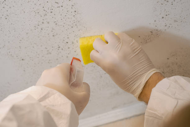 Best Indoor Air Quality Assessment  in Knik Fairview, AK